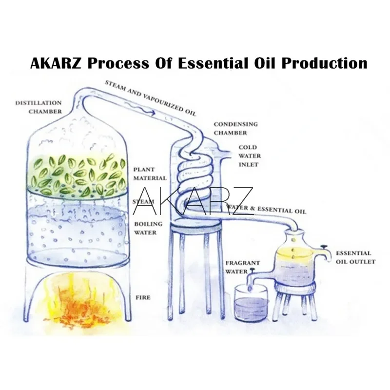 AKARZ Unique Rare Essential Oi - Sandalwood Perfume Oil ulasan dan harga