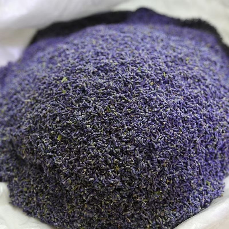 High Quality Natural Dried Flo - Perfume Lavender Fragrance ulasan dan harga