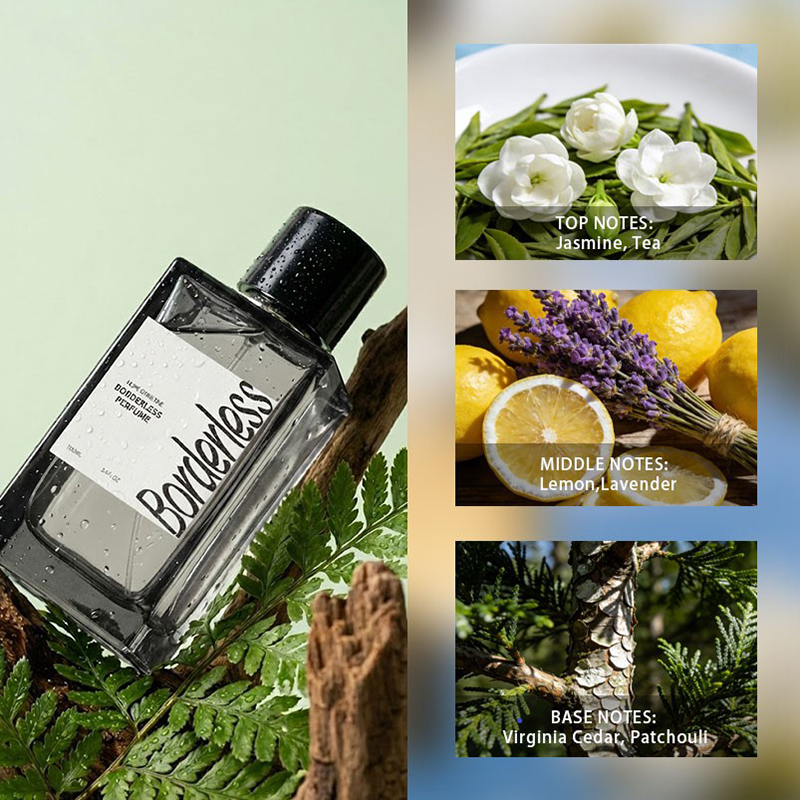Luxury Borderless Men Perfume  - Perfume Lavender Fragrance ulasan dan harga